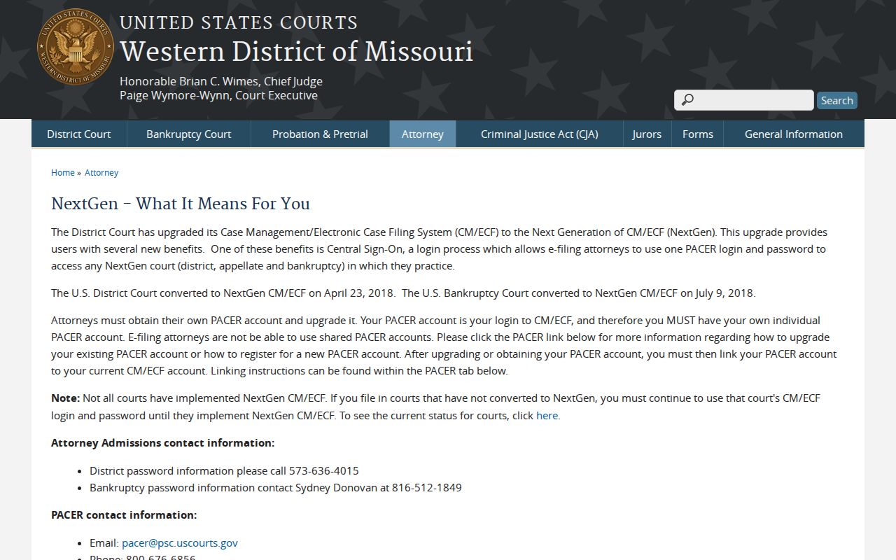 Court record access setting illustrating limits on remote documents