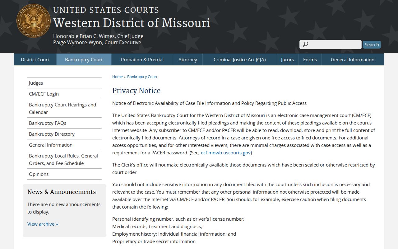 Federal electronic case filing reference image used to distinguish state and federal court record systems